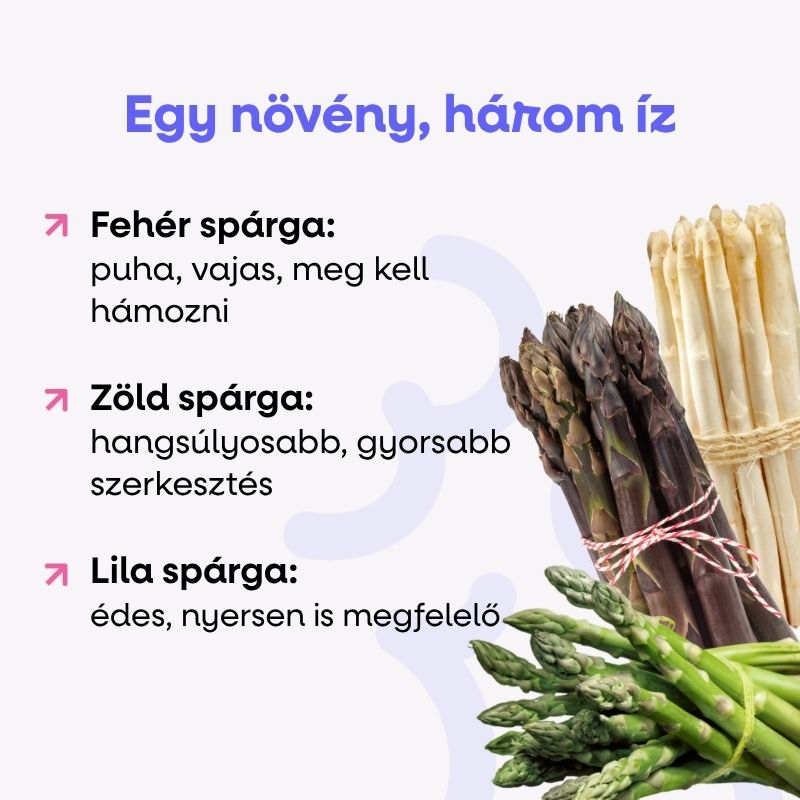 (Maďarština) (20)